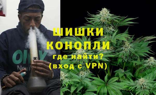 сатива Арсеньев