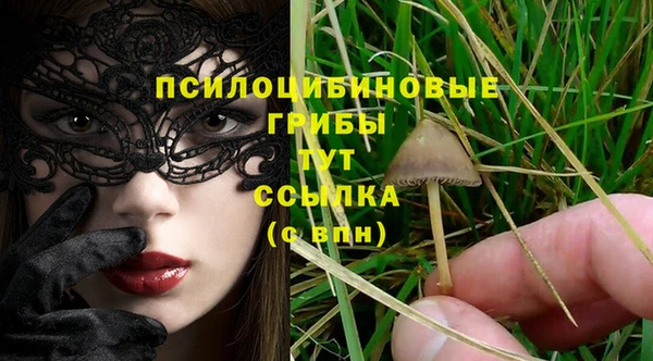 индика Аркадак