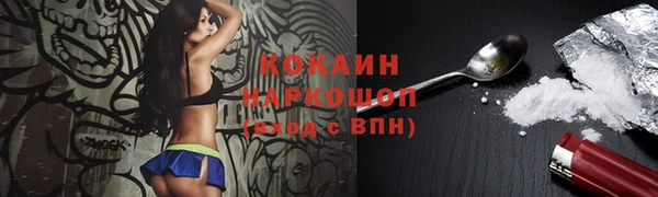 сатива Арсеньев