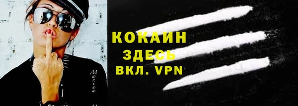индика Аркадак