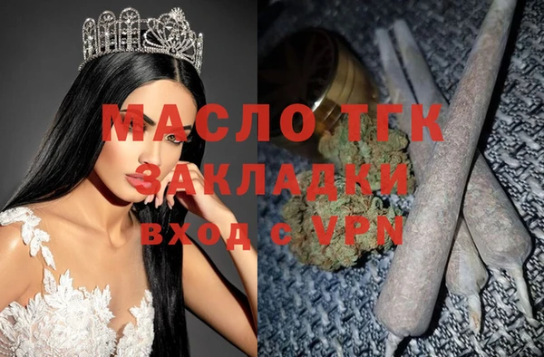 индика Аркадак