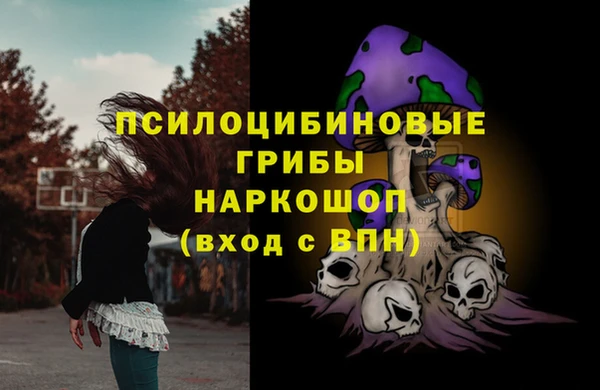 индика Аркадак